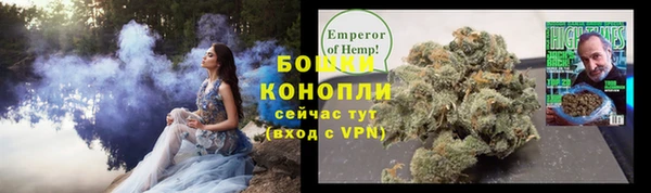 PSILOCYBIN Белокуриха