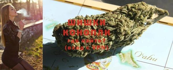 спайс Богданович